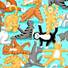 23602 Z packed kitty turq