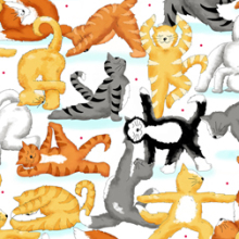 23602 Z packed kitty white